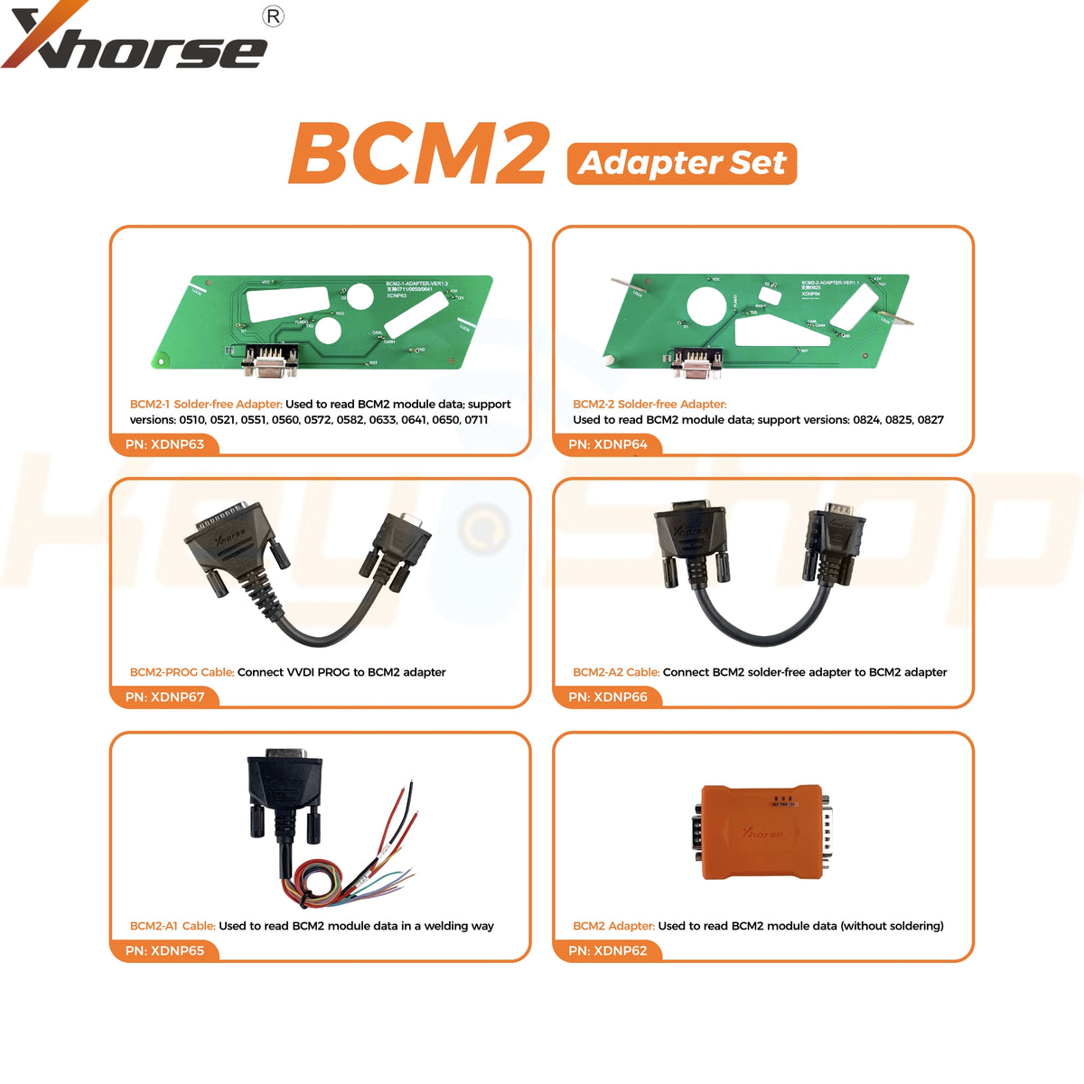 BCM2_result_1200x.jpg?v=1722022720