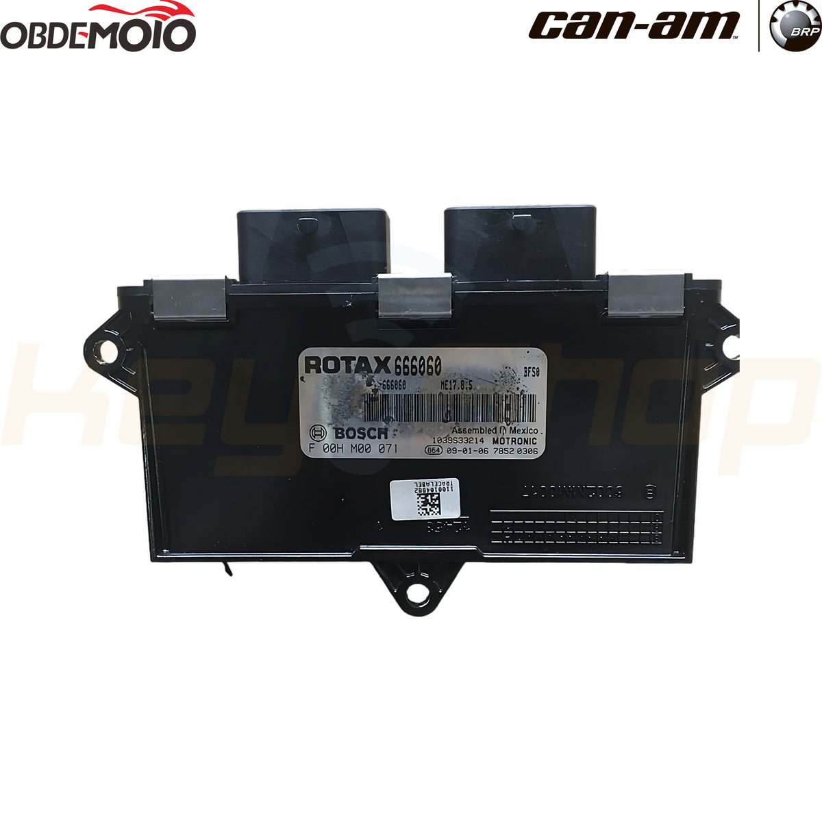 Module18-BRP_1200x.jpg?v=